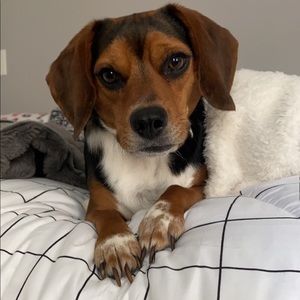 Meet your Posher, Emily